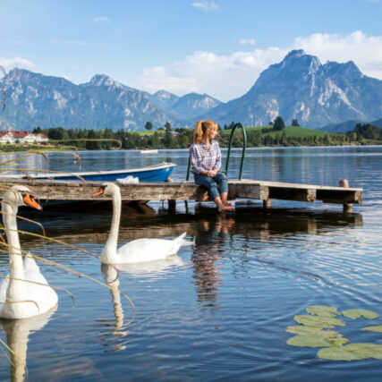 Schwäne und Panorama am Hopfensee