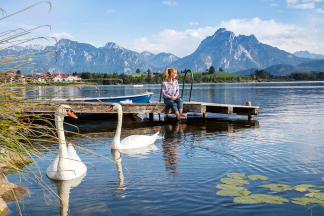 Schwäne und Panorama am Hopfensee