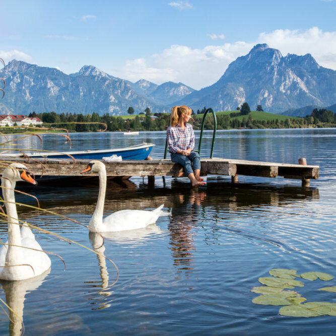 Schwäne und Panorama am Hopfensee