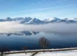 Hopfensee im Winter mit Nebel