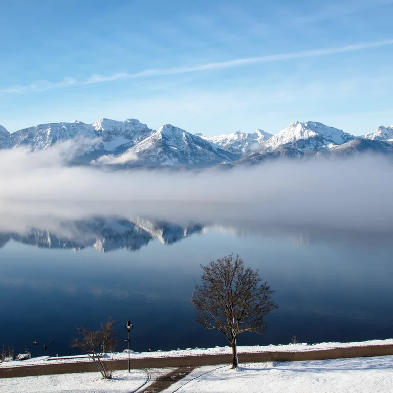 Hopfensee im Winter mit Nebel