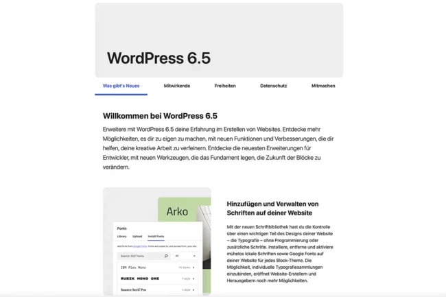 wordpress update 6.5